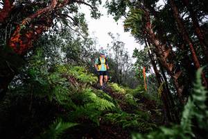 BIB: 
                            <button type="button" onclick="openModal(26205537)" class="btn btn-primary btn-sm float-right btn-popup" data-toggle="modal" data-target=".modal-high-quality">
                        <i class="fas fa-shopping-cart"></i> Add to Cart
                    </button>
                                            <button type="button" onclick="isThisMe(26205537, true)" class="btn btn-success btn-sm float-right btn-popup btn-isme hidden" data-toggle="tooltip" data-placement="bottom" title="นี่คือรูปของคุณใช่ไหม คลิกที่นี่เพื่อเอาเข้าอัลบั้ม">
                        <i class="fas fa-plus"></i> Add to album
                    </button>
                    <button type="button" onclick="isThisMe(26205537, false)" class="btn btn-warning btn-sm float-right btn-popup btn-isnotme hidden">
                        <i class="fas fa-ban"></i> Remove from album
                    </button>